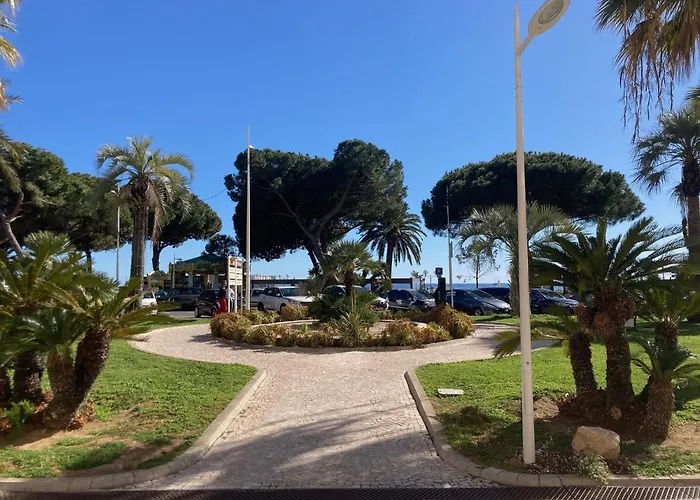 De Standing Le Velvet Bay Climatise En Bord De Antibes