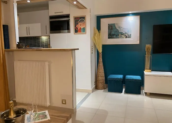 De Standing Le Velvet Bay Climatise En Bord De Antibes